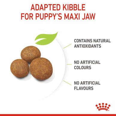 Royal Canin Maxi Puppy – Hrană Uscată pentru Pui de Câine de Talie Mare – 3 kg